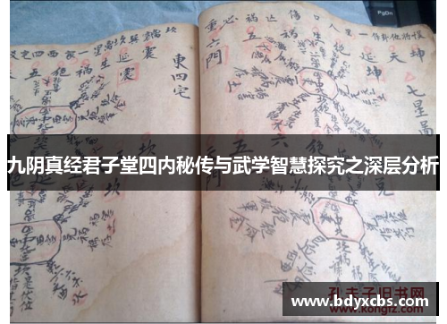 九阴真经君子堂四内秘传与武学智慧探究之深层分析